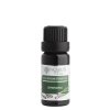 e0036c lemongras 20 ml 8595100209030 1739800927