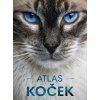 atlas kocek 20260414105238 9788076393516