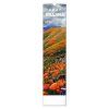 kalendar 2027 nastenny krajina 12 x 48 cm 20260627022341 8595689368395